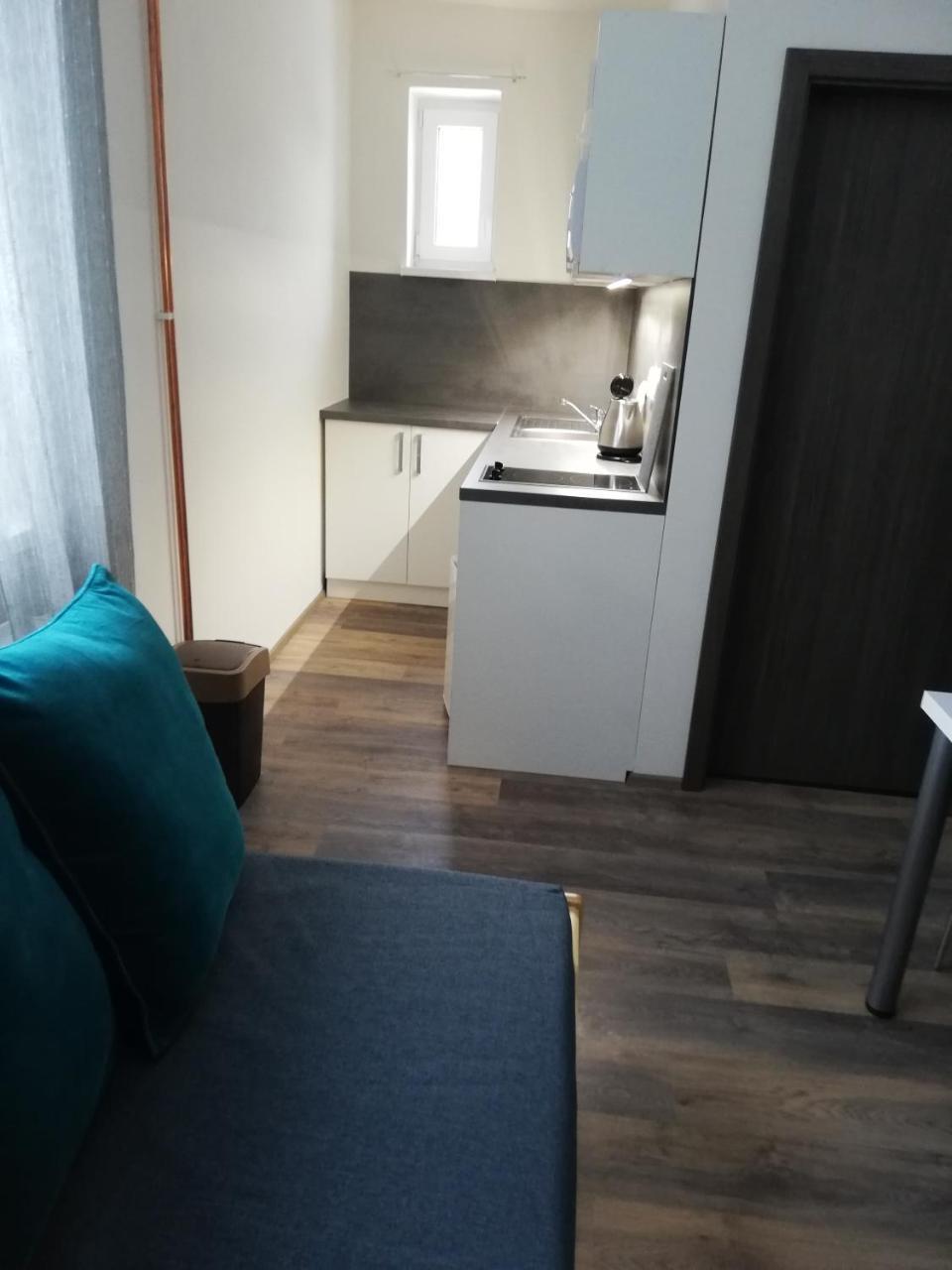 Apartmany Agatha Лоучна-над-Десноу Экстерьер фото